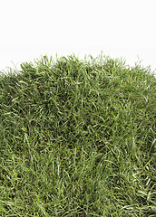 Image showing Grass Hill Cutout
