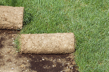 Image showing Grass Carpet Rolls