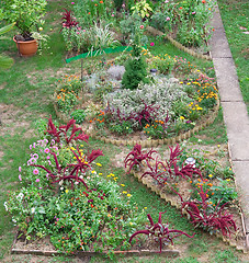 Image showing Backyard Garden