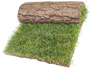 Image showing Roll of Grass Rug