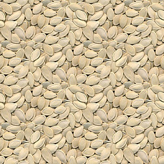 Image showing Pumpkin Seeds Seamless Background