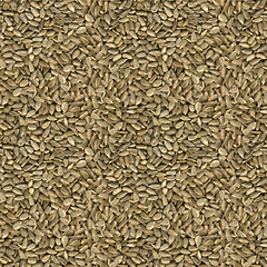 Image showing Sunflower Seeds Seamless Texture