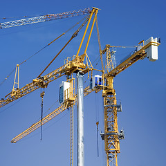 Image showing Construction cranes