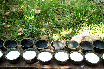 Image showing Bowl to collect milk from rubber tree