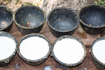 Image showing Bowl to collect milk from rubber tree