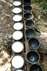 Image showing Bowl to collect milk from rubber tree