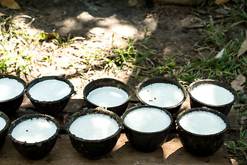 Image showing Bowl to collect milk from rubber tree