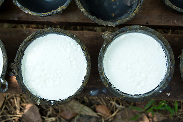 Image showing Bowl to collect milk from rubber tree