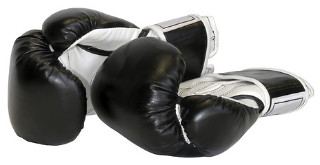 Image showing Boxing Gloves