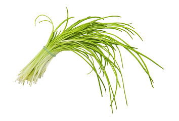 Image showing Chive