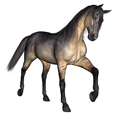 Image showing Horse