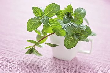 Image showing mint tea