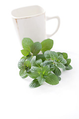 Image showing mint tea