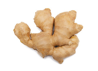 Image showing Ginger