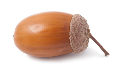 Image showing Acorn