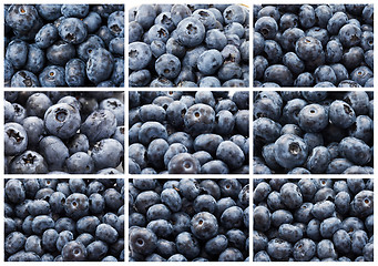 Image showing Blueberries