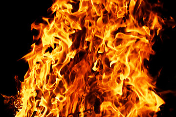 Image showing Fire