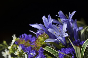 Image showing Purple Wedding Bouquet