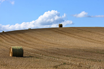 Image showing Harvest