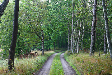 Image showing Nature in south Sweden