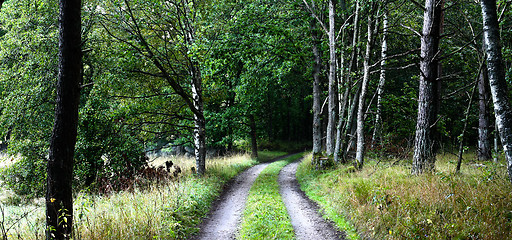 Image showing Nature in south Sweden