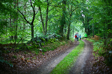 Image showing  Nature in south Sweden