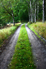 Image showing Nature in south Sweden