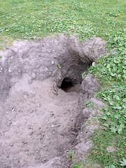 Image showing Rabbit Hole