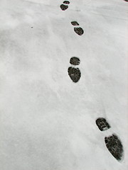 Image showing Snowy Footprints