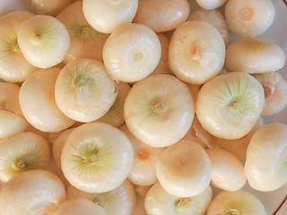 Image showing Onions