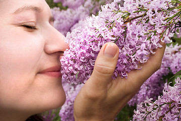 Image showing Stop and Smell the Lilacs