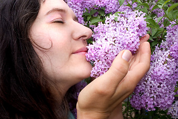 Image showing Spring Beauty