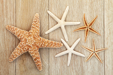 Image showing Starfish  