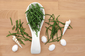 Image showing Samphire