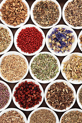 Image showing Herbal Medicine