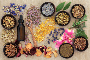 Image showing Naturopathic Medicine