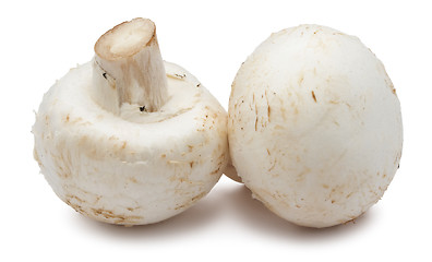 Image showing Champignon mushrooms