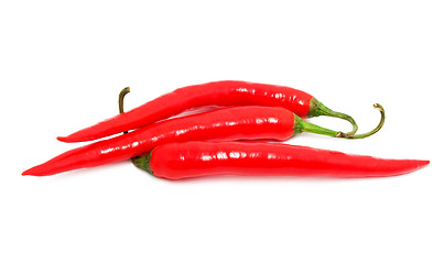 Image showing Hot chili pepper