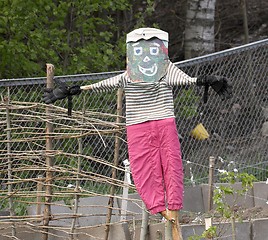 Image showing Scarecrow