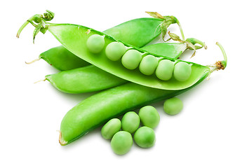 Image showing Pea