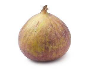 Image showing Fig