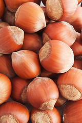 Image showing Hazelnuts or filbert