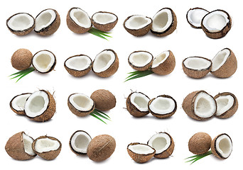 Image showing Coconuts