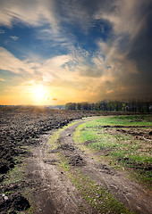 Image showing Country road through the plowed field