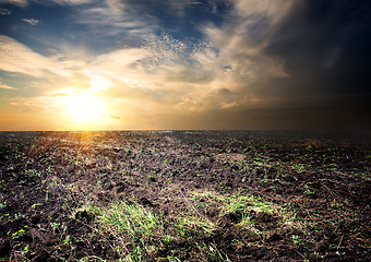 Image showing Sunrise over the cultivated field