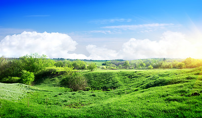 Image showing Spring landscape