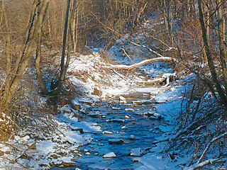 Image showing Winter