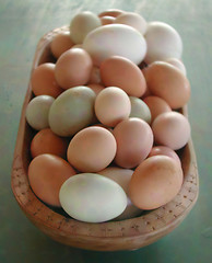 Image showing Colorful Eggs