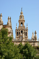 Image showing Seville Cathedral detail