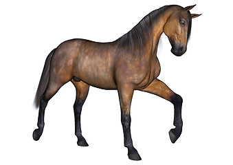 Image showing Horse